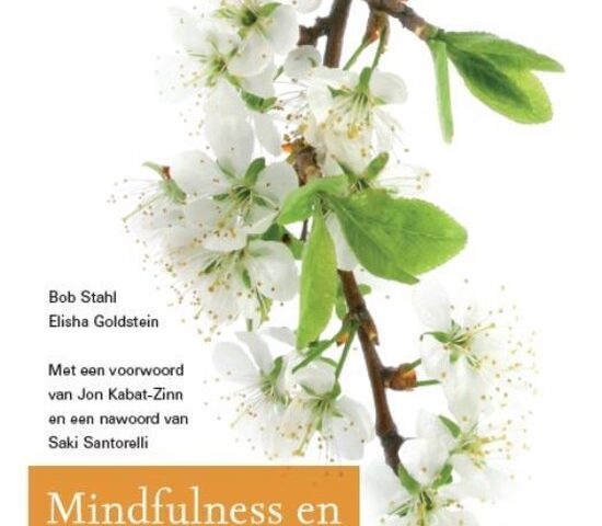 Creatieve Activiteiten voor Stressreductie