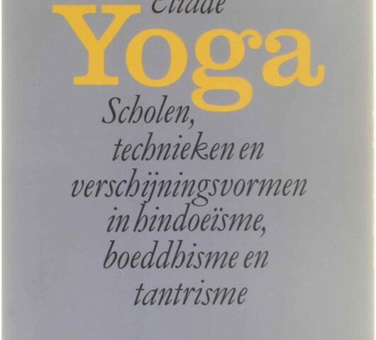 De Verschillen Tussen Yin Yoga en Restorative Yoga